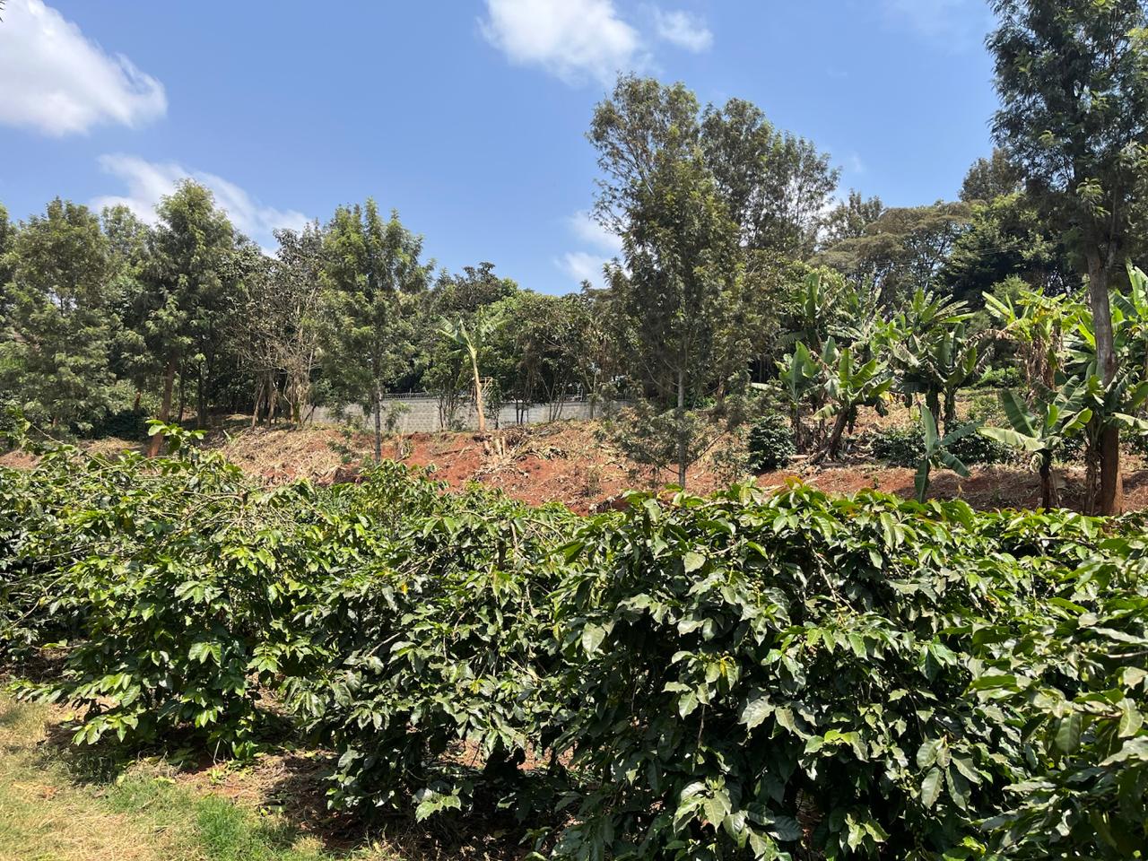 Compliance Structuring