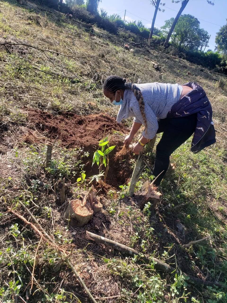 Management System Integration